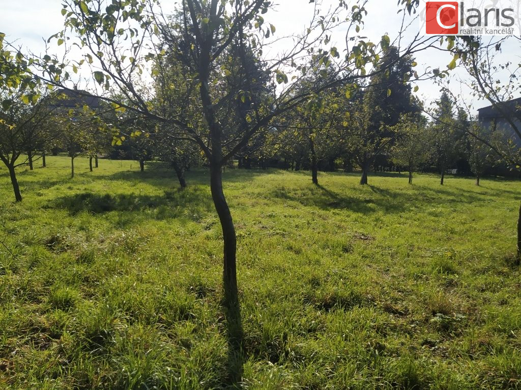 Prodej stavebního pozemku Starojická Lhota - obrázek č.2