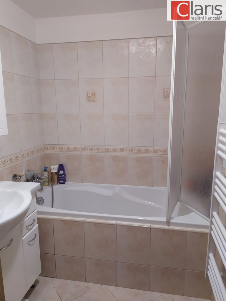 Prodej rodinného domu v Rybí - obrázek č.12