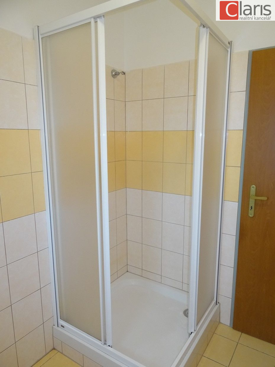 Pronájem bytu 1+kk, Starý Jičín - obrázek č.9