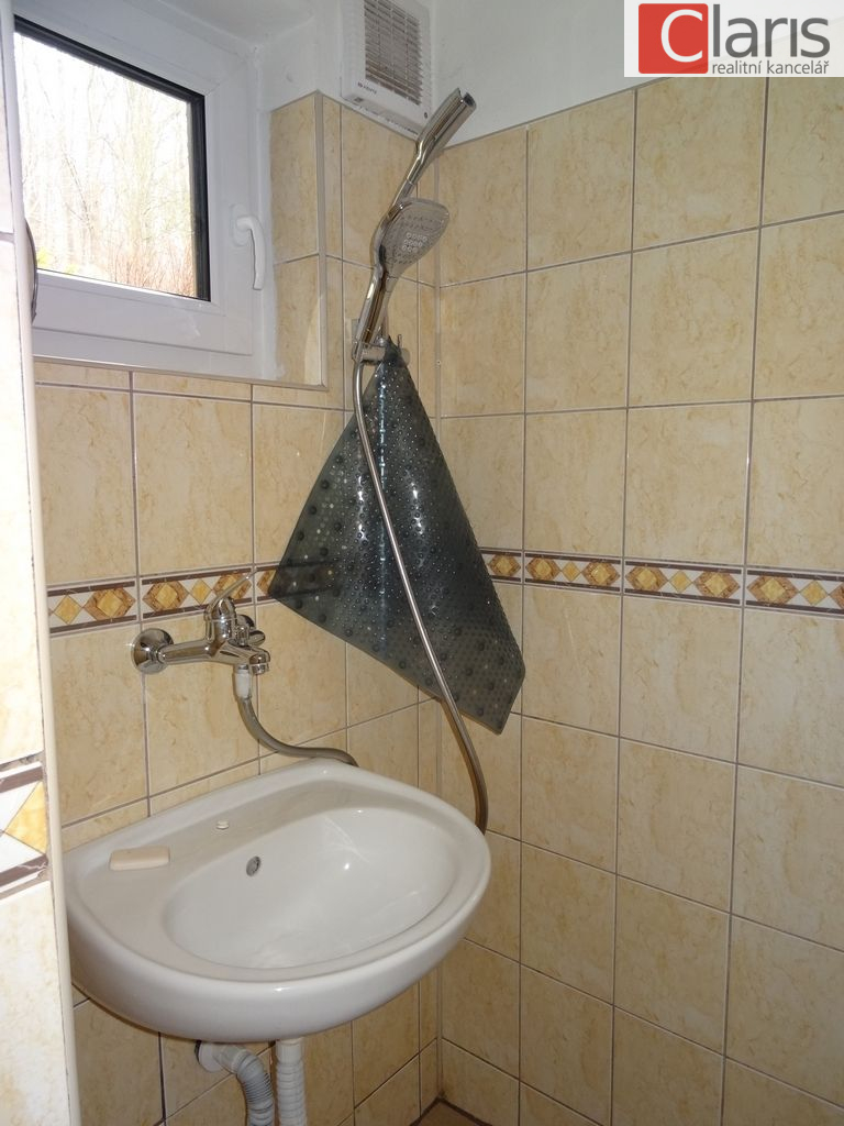 Pronájem chaty, Straník - obrázek č.9