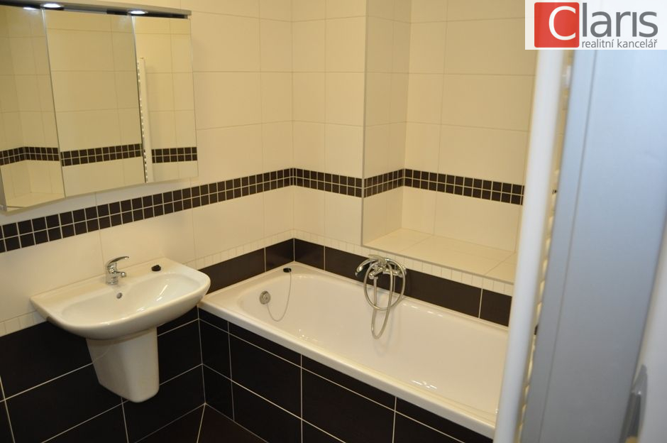 Pronájem bytu 1+kk, Nový Jičín, Hoblíkova - obrázek č.5