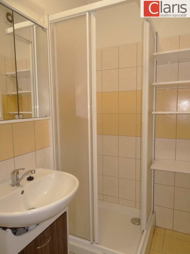 Pronájem bytu 1+kk, Starý Jičín - obrázek č.4