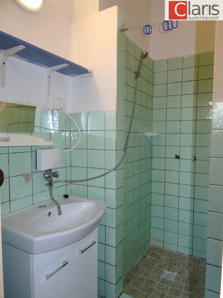 Pronájem bytu 1+1, Nový Jičín - obrázek č.7